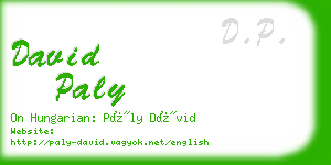 david paly business card